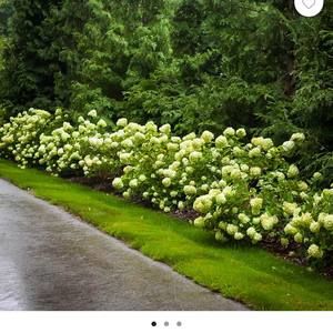 Meet your Posher, Minerva